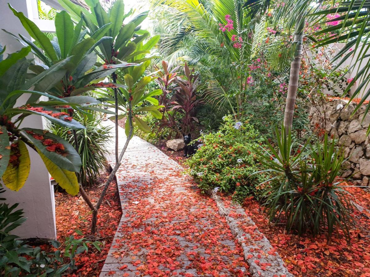Villa Blue Lagoon Suite Apartment Lowlands Exterior photo